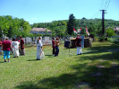 Falunap 2011